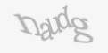 Código de segurança
